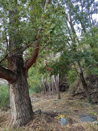 Terreno en rambla de tices s/n photo 2