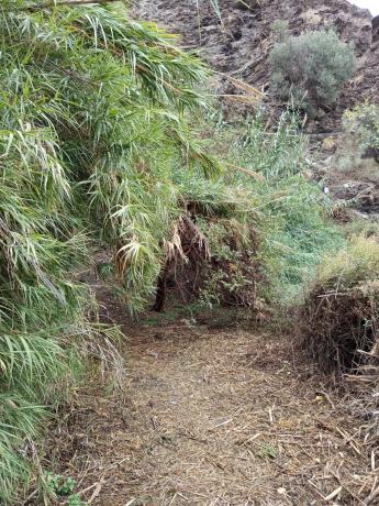 Terreno en rambla de tices s/n photo 3