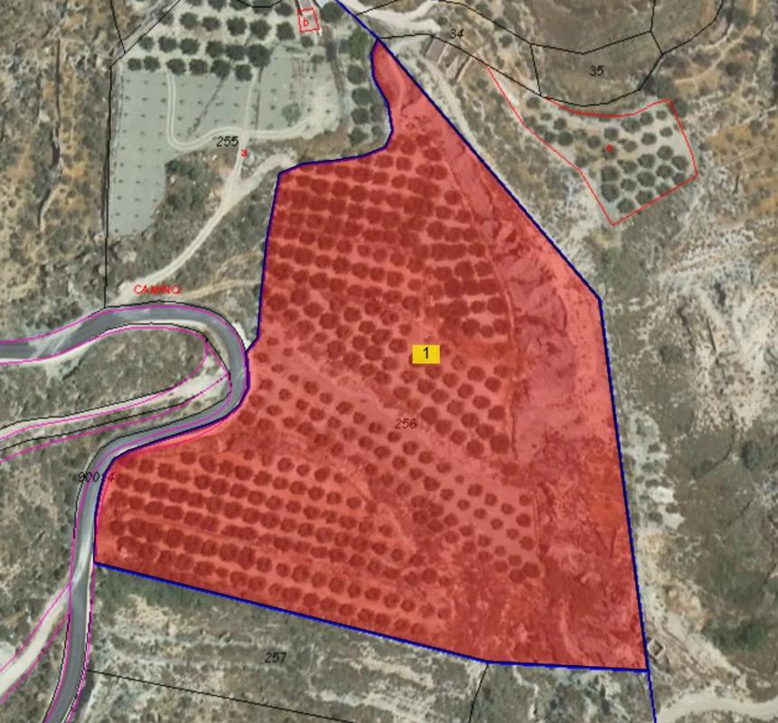 Terreno en venta en Alicun, Almería photo 3