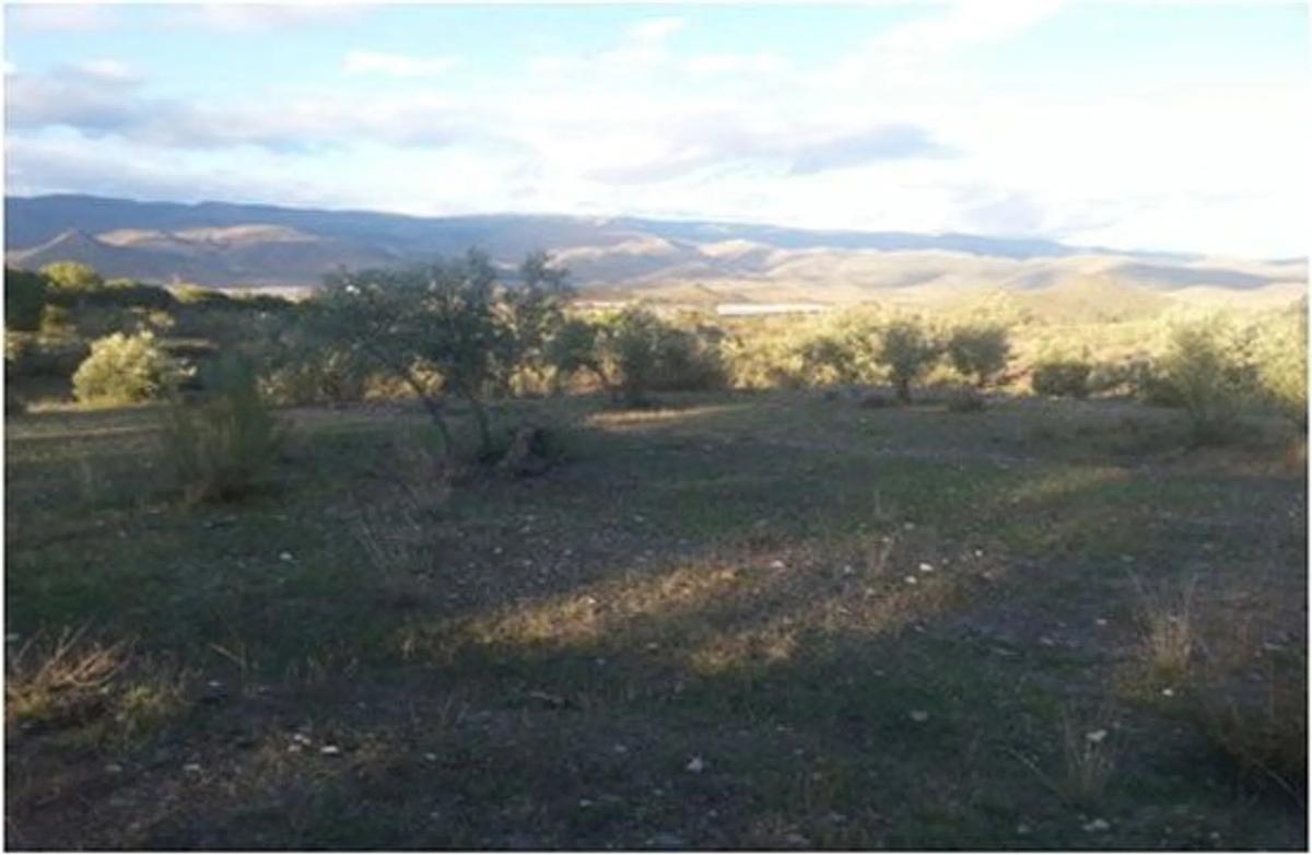 Участок земли на продажу в Альболодуй, Алмерия photo 3