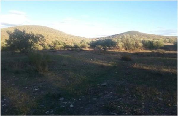 Terreno en A-1075 photo 4