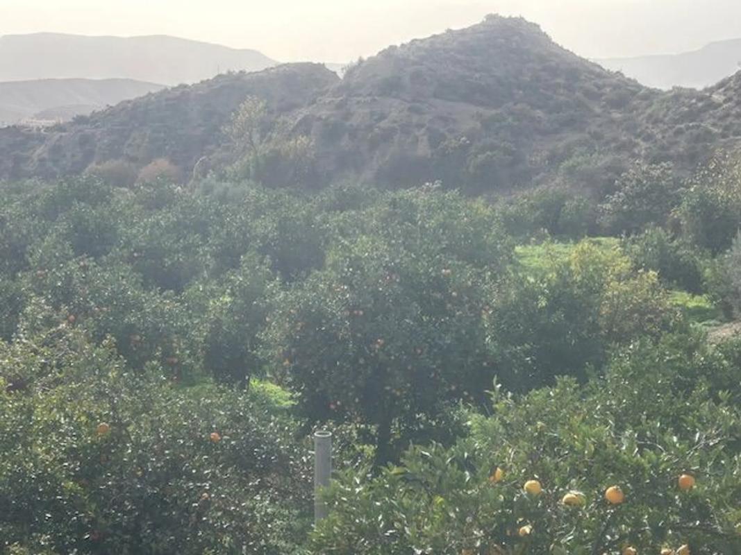 Terreno en venta en Gador, Almería photo 3