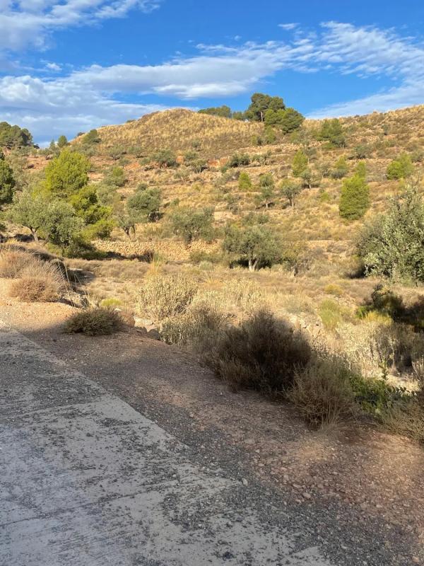 Land for sale in Canjayar, Almería photo 1