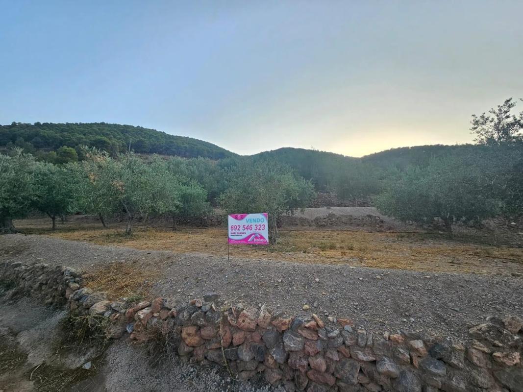 Działka na sprzedaż w Fondón, Almería photo 2