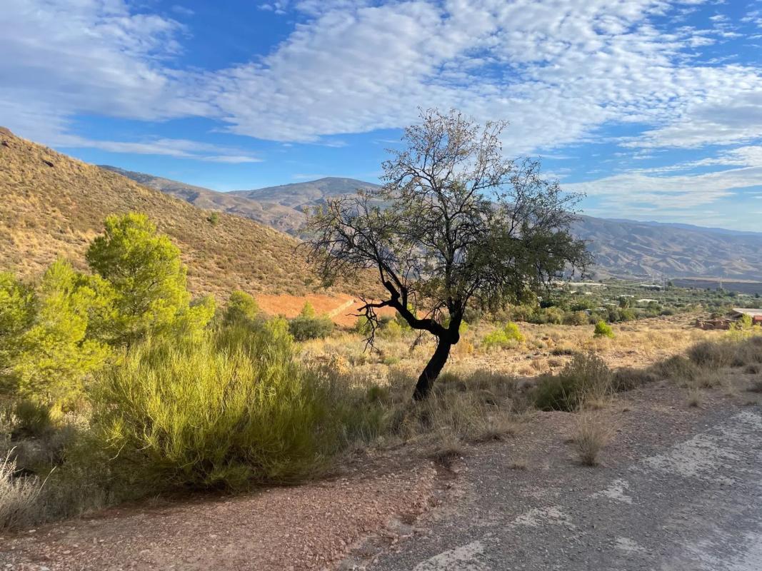 Land for sale in Canjayar, Almería photo 3