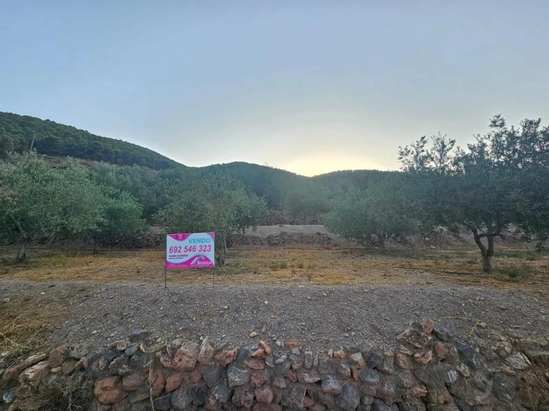 Działka na sprzedaż w Fondón, Almería photo 3