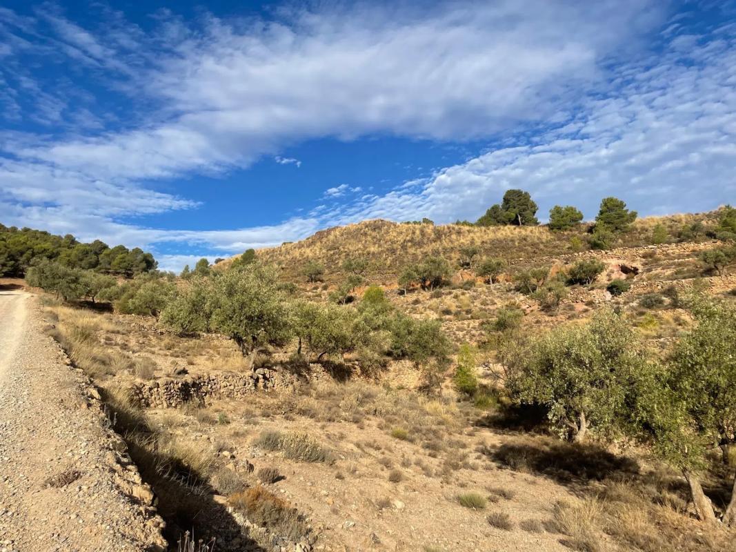 Land for sale in Canjayar, Almería photo 5