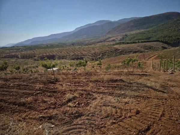 Terreno en A-348, km 81 photo