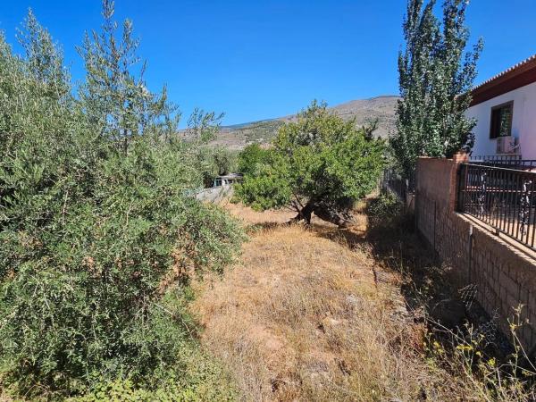 Terreno en calle Almeria photo 1