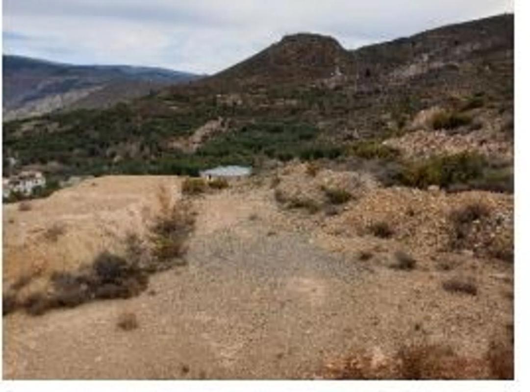 Działka na sprzedaż w Alcolea, Almería photo 1