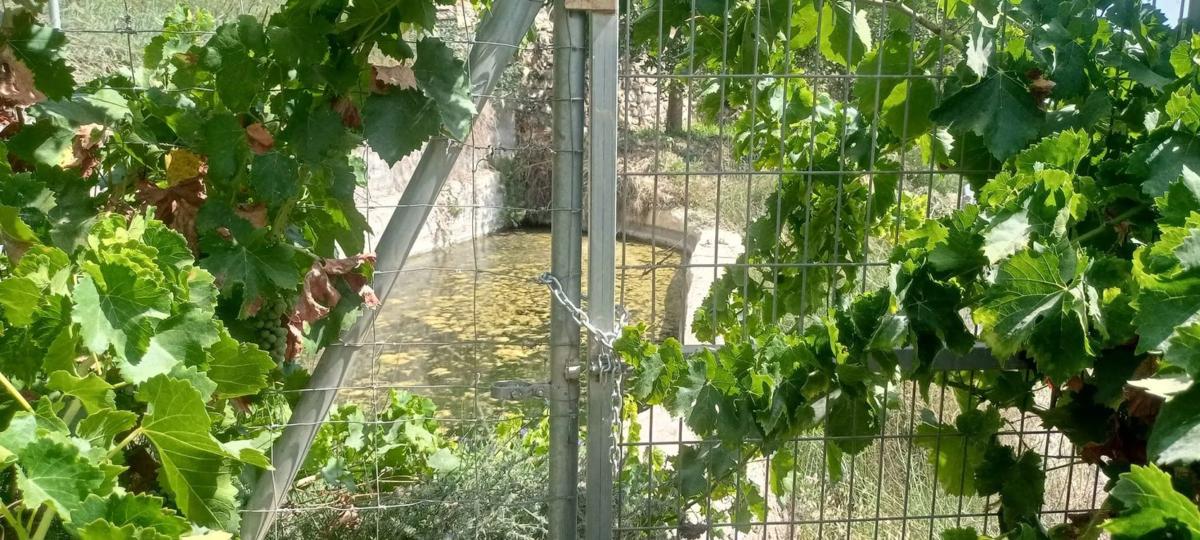 Участок земли на продажу в Иллар, Алмерия photo 5