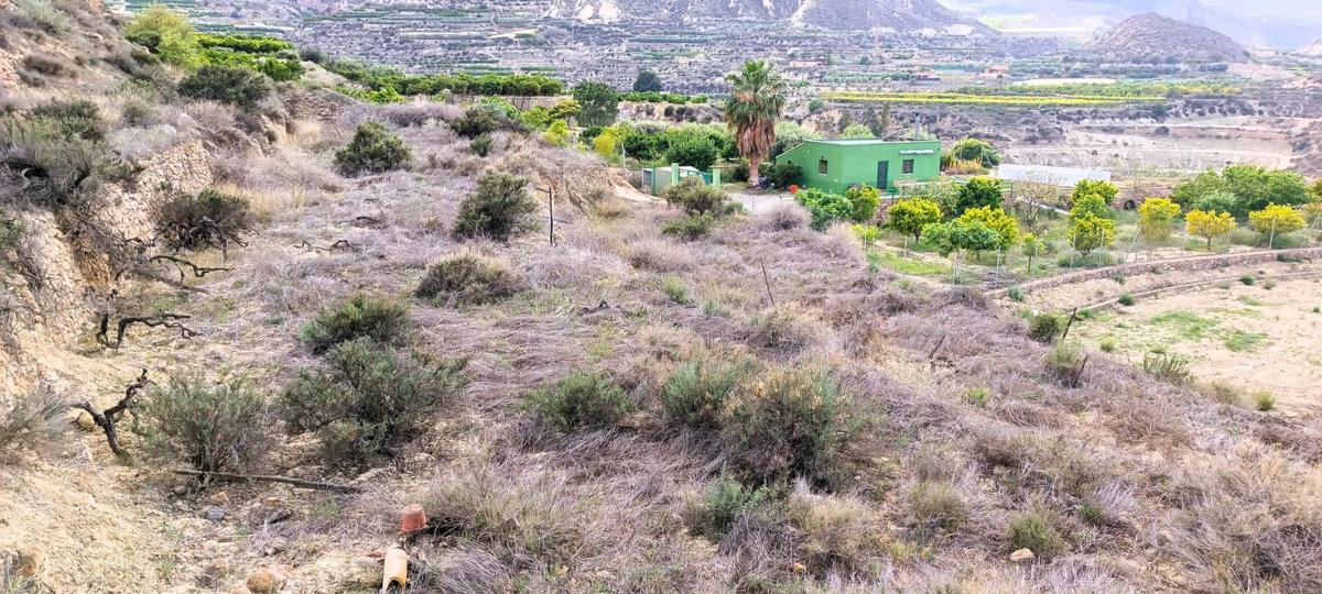 Land for sale in Huécija, Almería photo 5