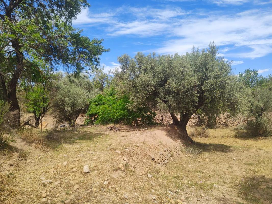 Terreno en venta en Fondón, Almería photo 5
