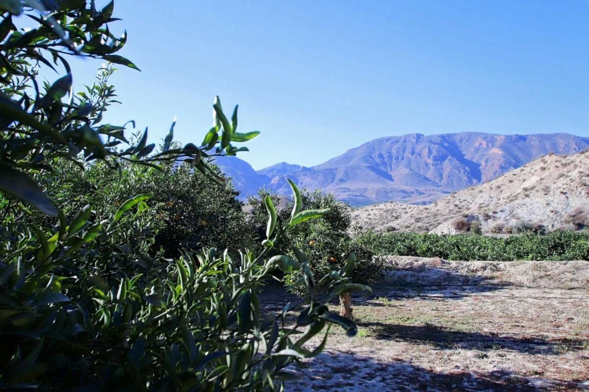 Terreno en venta en Terque, Almería photo 3