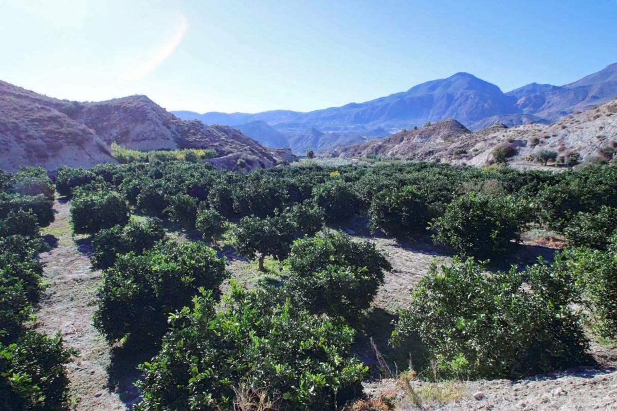 Terreno en venta en Terque, Almería photo 4