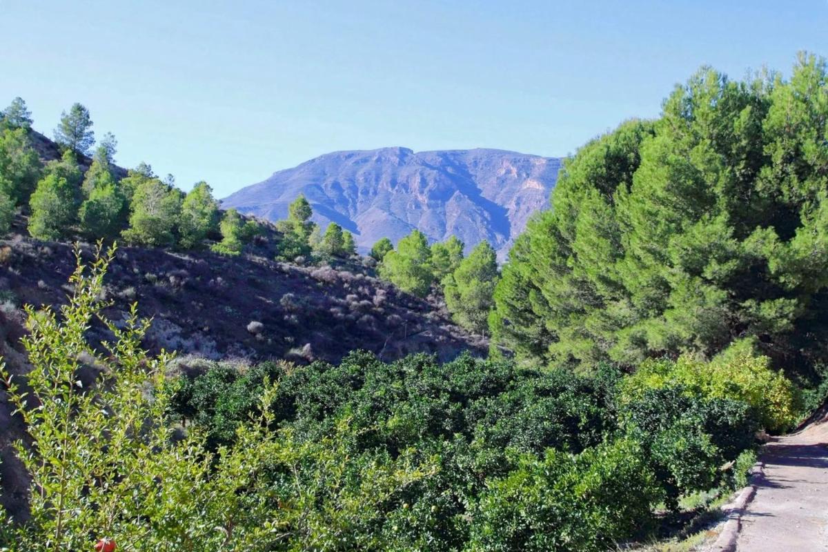 Terreno en venta en Terque, Almería photo 5