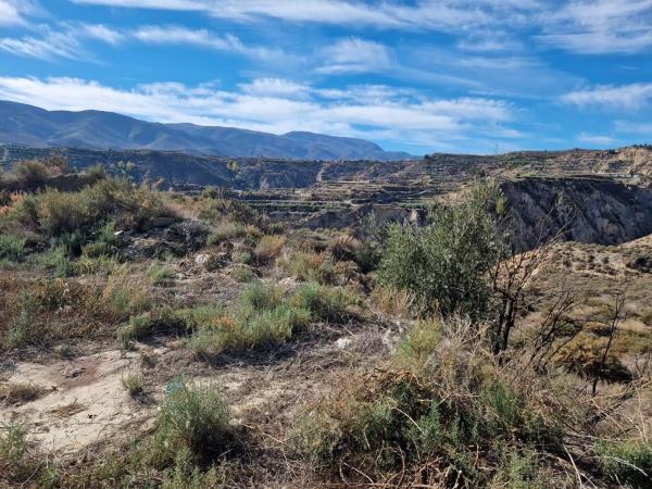 Terreno en Canjayar photo 1