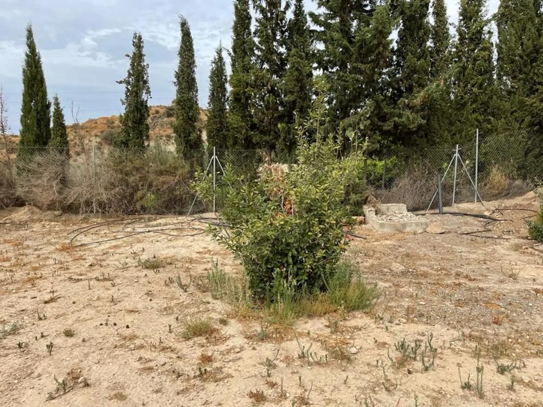 Działka na sprzedaż w Terque, Almería photo 5