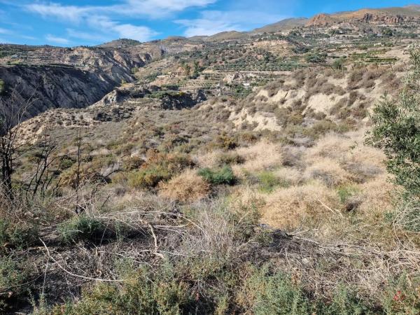 Terreno en Canjayar photo 2