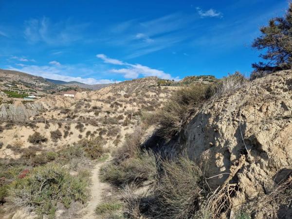 Terreno en Canjayar photo 3