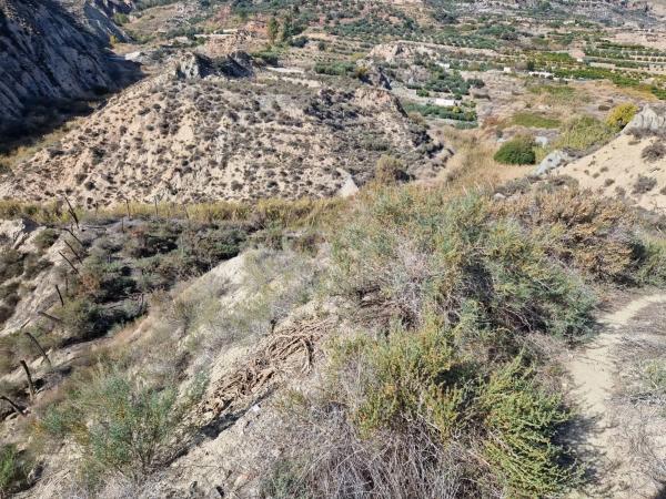 Terreno en Canjayar photo 4