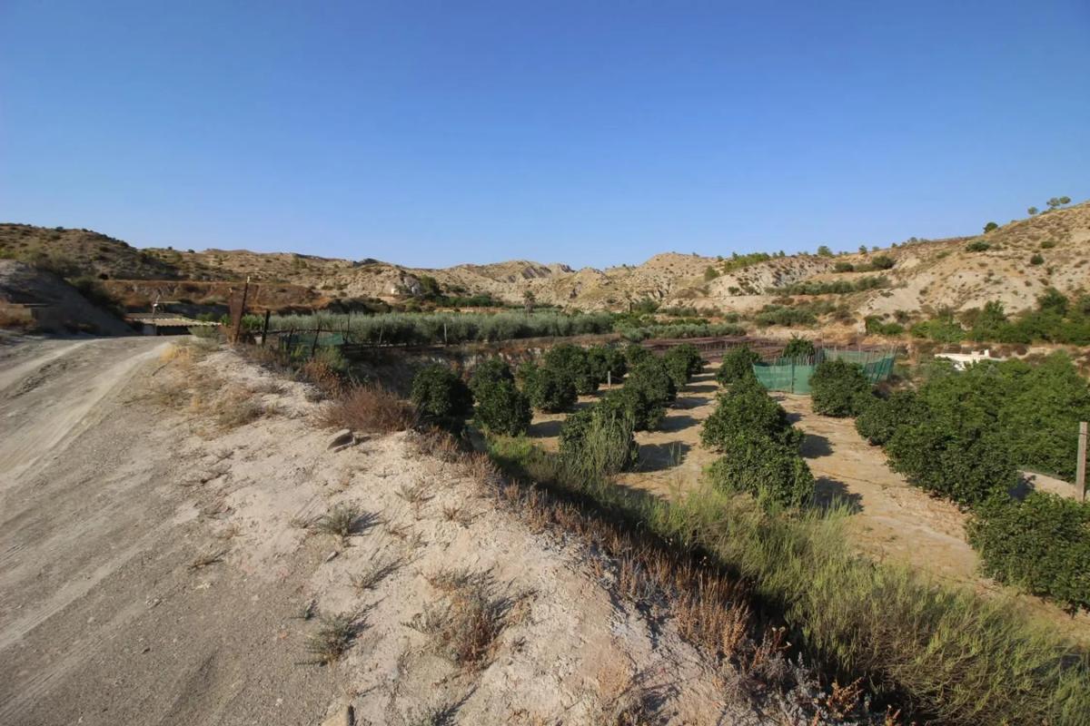 Terreno en venta en Terque, Almería photo 5