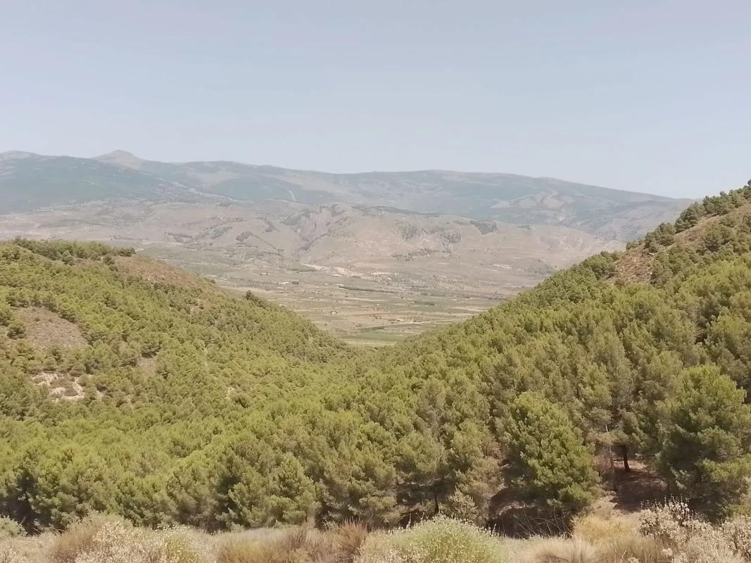 Terreno en venta en Laujar de Andarax, Almería photo 2