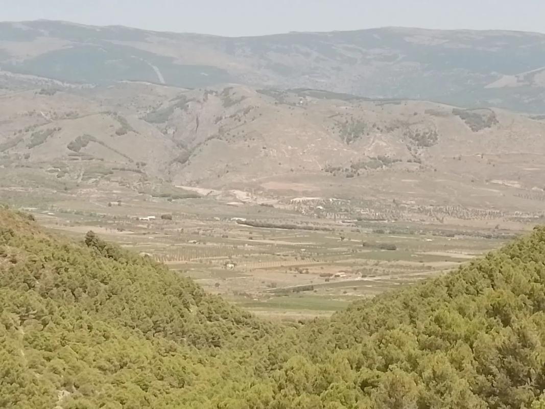 Terreno en venta en Laujar de Andarax, Almería photo 3
