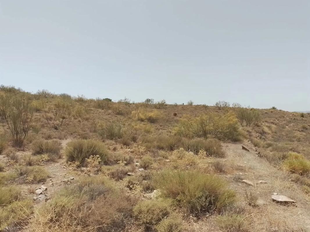Terreno en venta en Laujar de Andarax, Almería photo 4
