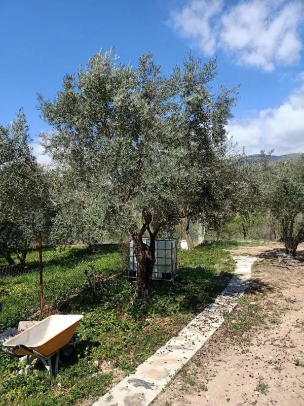 Terreno en venta en Fondón, Almería photo 3