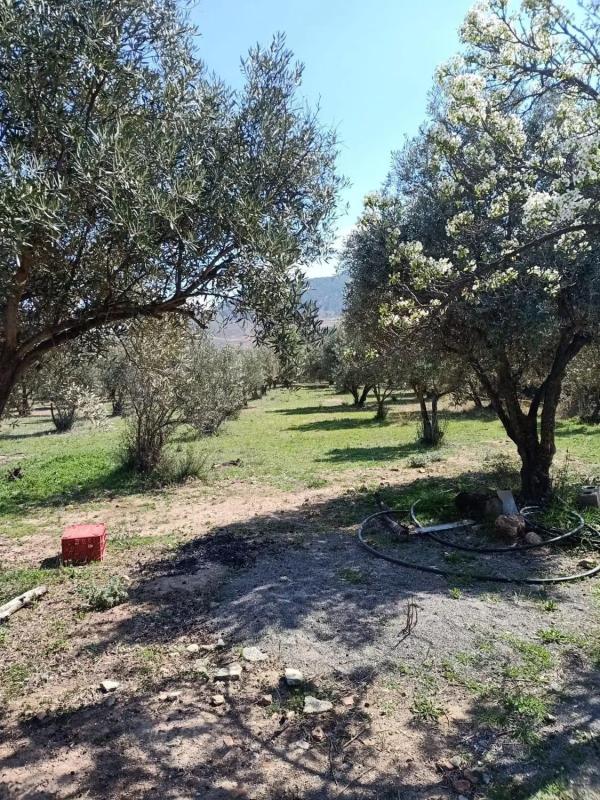 Terreno en venta en Fondón, Almería photo 5