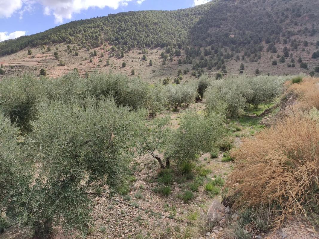 Terreno en venta en Fondón, Almería photo 1