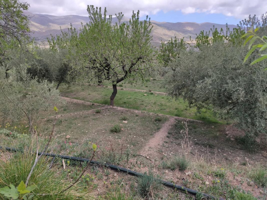 Terreno en venta en Fondón, Almería photo 4