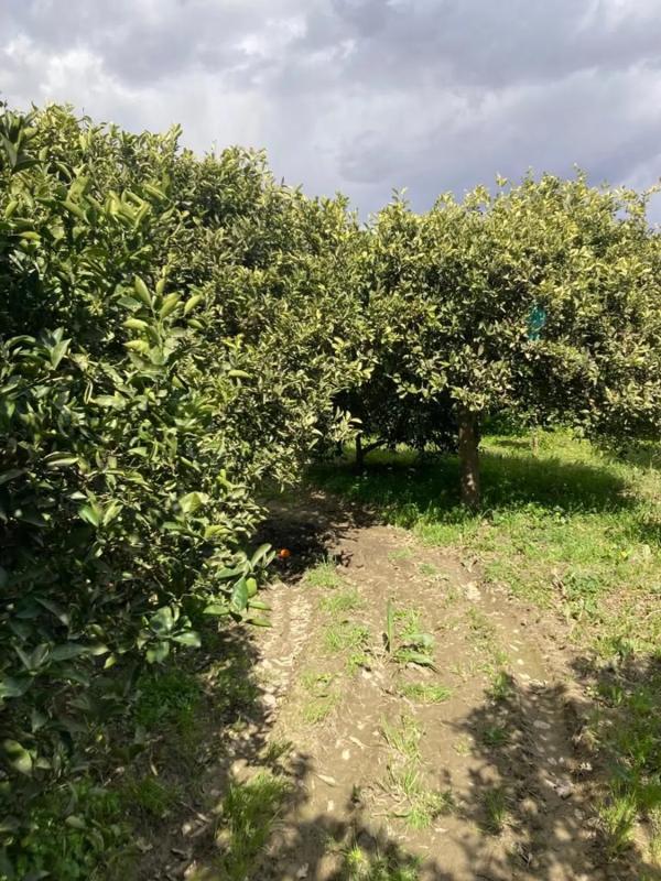 Terreno en venta en Gador, Almería photo 4
