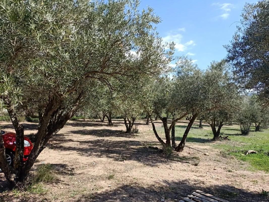 Działka na sprzedaż w Fondón, Almería photo 1