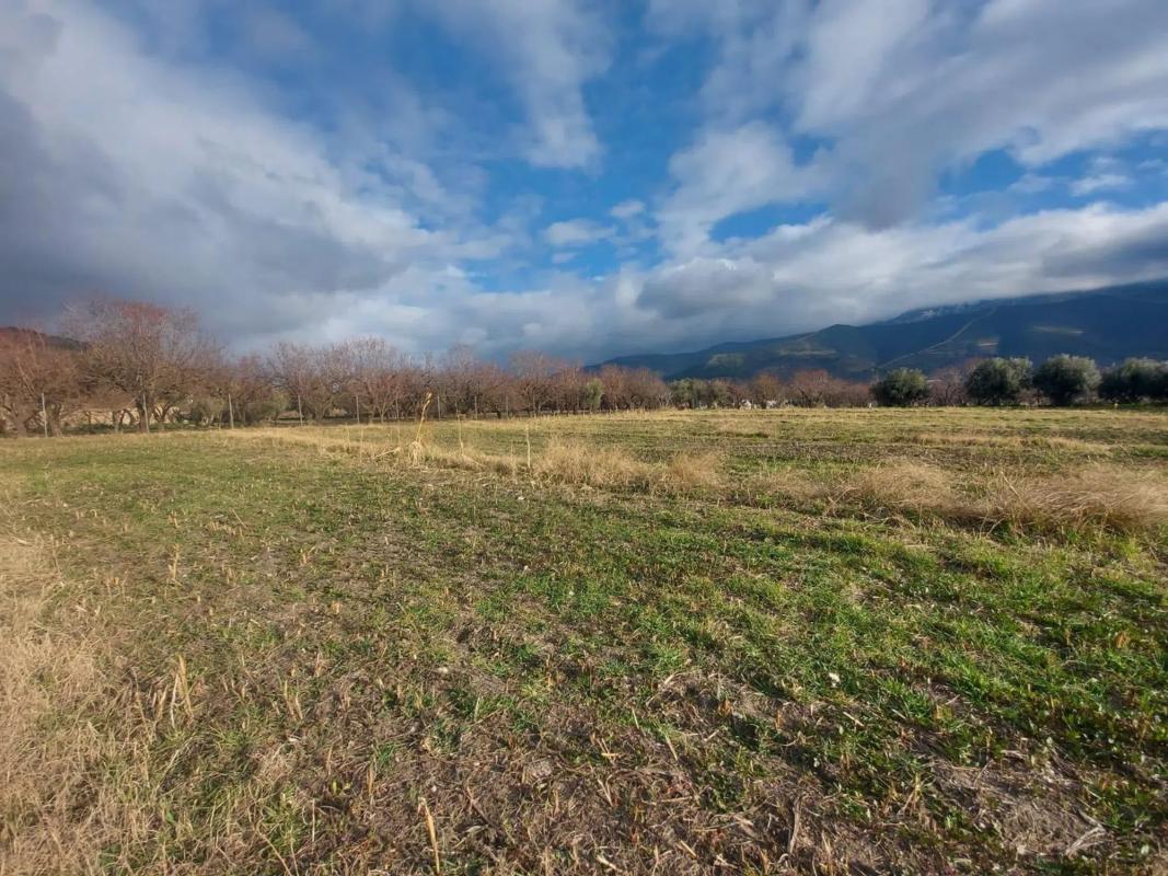 Terreno en venta en Laujar de Andarax, Almería photo 2