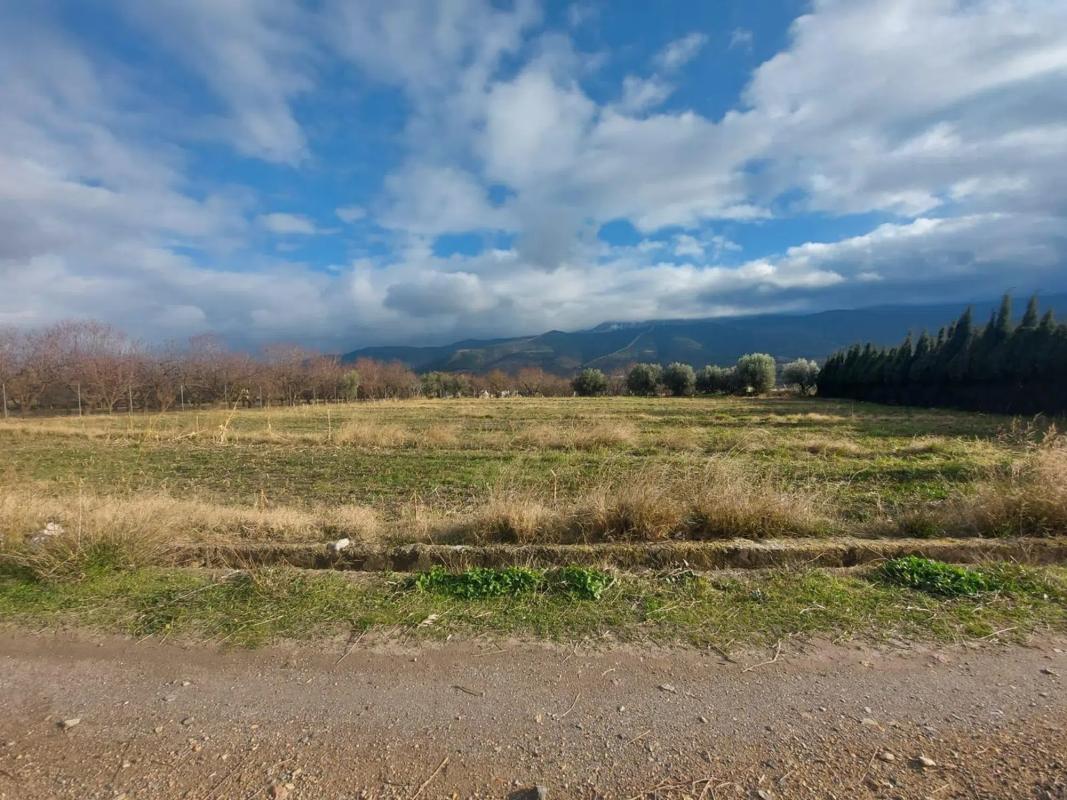 Terreno en venta en Laujar de Andarax, Almería photo 3