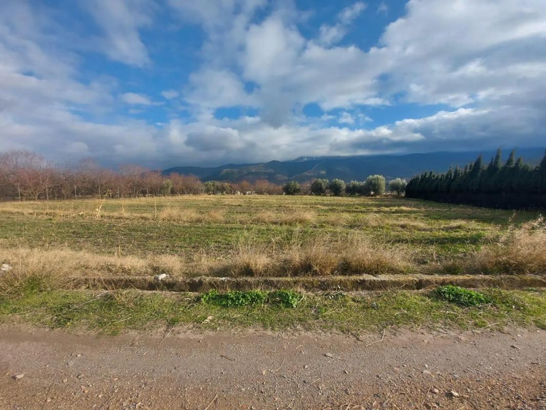 Terreno en venta en Laujar de Andarax, Almería photo 4