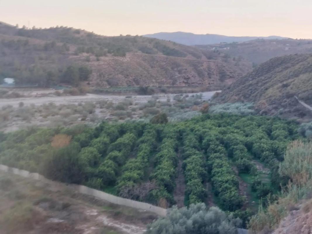 Działka na sprzedaż w Alhabia, Almería photo 1