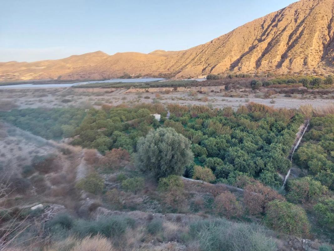 Działka na sprzedaż w Alhabia, Almería photo 5