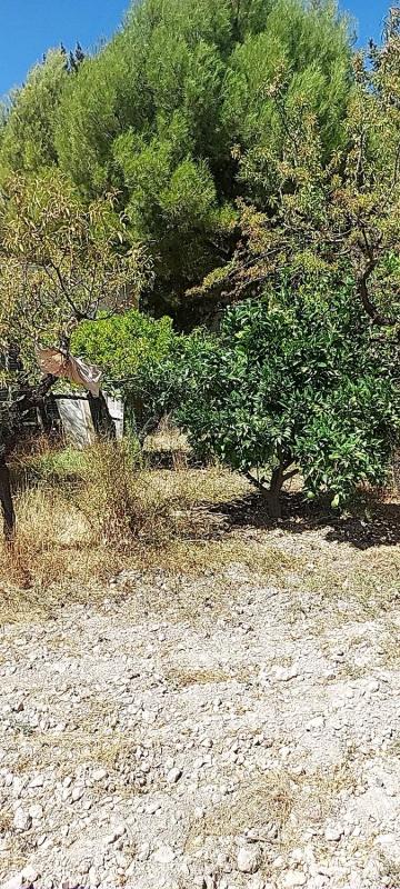 Terreno en venta en Fondón, Almería photo 1