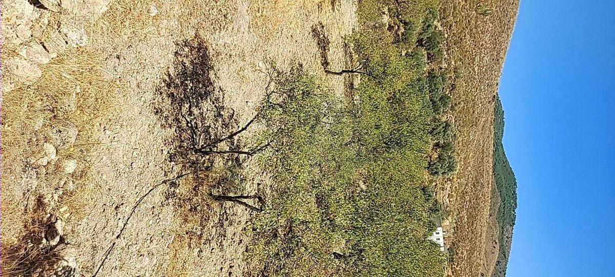 Terreno en venta en Fondón, Almería photo 2