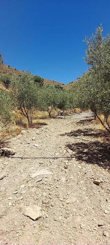 Terreno en venta en Fondón, Almería photo 3