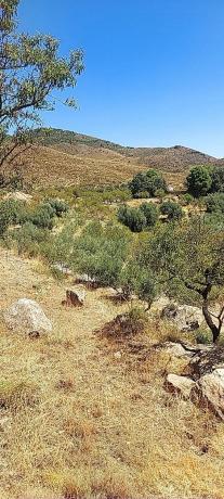 Terreno en camino del rio s/n photo 4