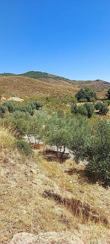 Terreno en venta en Fondón, Almería photo 5