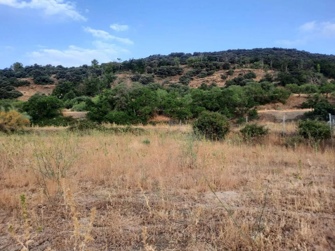 Działka na sprzedaż w Paterna del Río, Almería photo 2