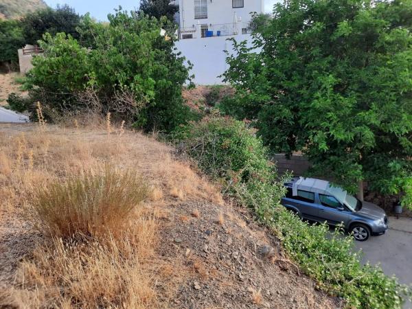 Terreno en calle San Juan de Dios s/n Sn photo 4