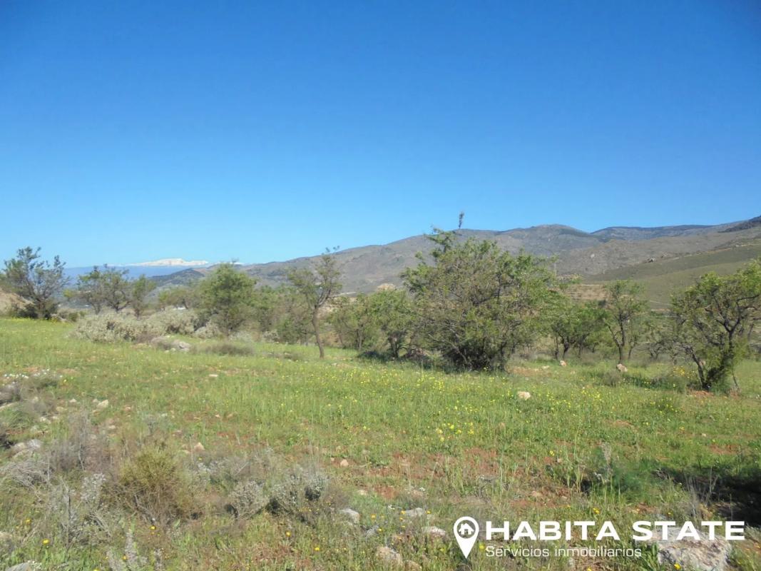 Terreno en venta en Fondón, Almería photo 3