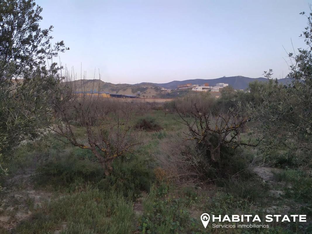 Działka na sprzedaż w Alhabia, Almería photo 3
