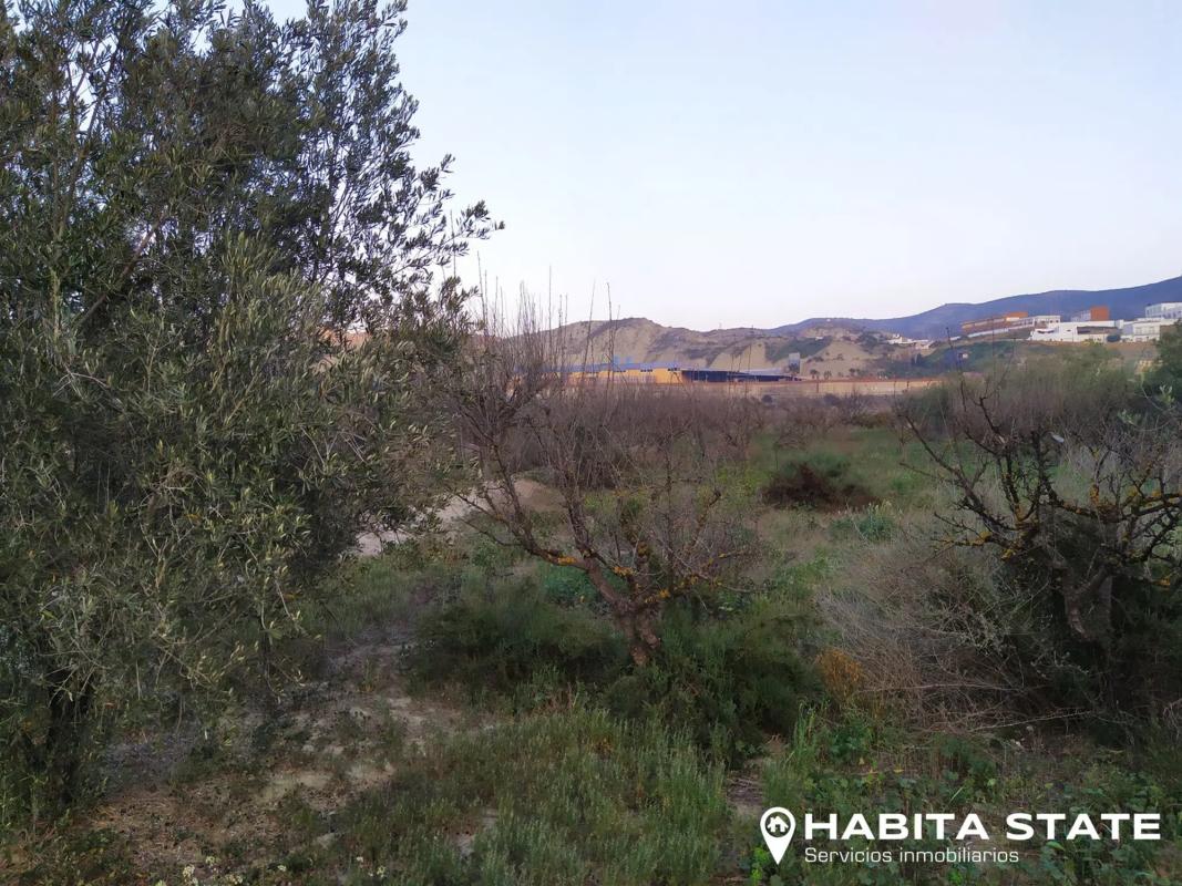 Działka na sprzedaż w Alhabia, Almería photo 5
